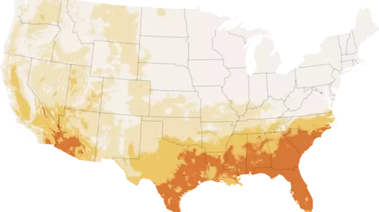 California's Unusually Cool Summer: A Climatic Anomaly Affecting the Golden State