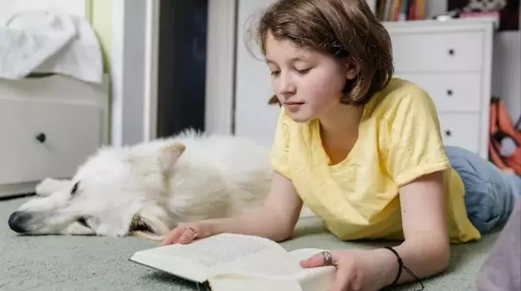 Captivating Reads: Books to Ignite a Tween's Love for Reading