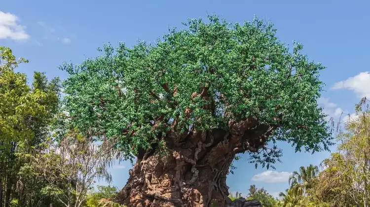 A Magical Family Journey: Discovering Unity at Disney's Animal Kingdom