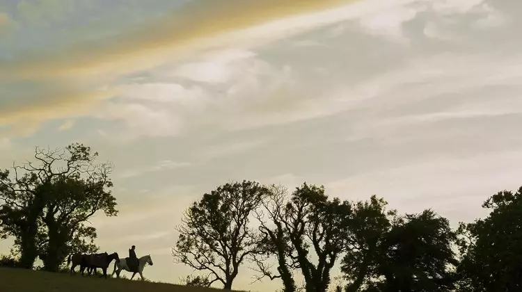 A Visual Feast: "A Knight of the Seven Kingdoms" Redefines Television Aesthetics