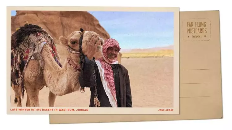 Wadi Rum Blooms: A Desert Transformed by Winter Rains