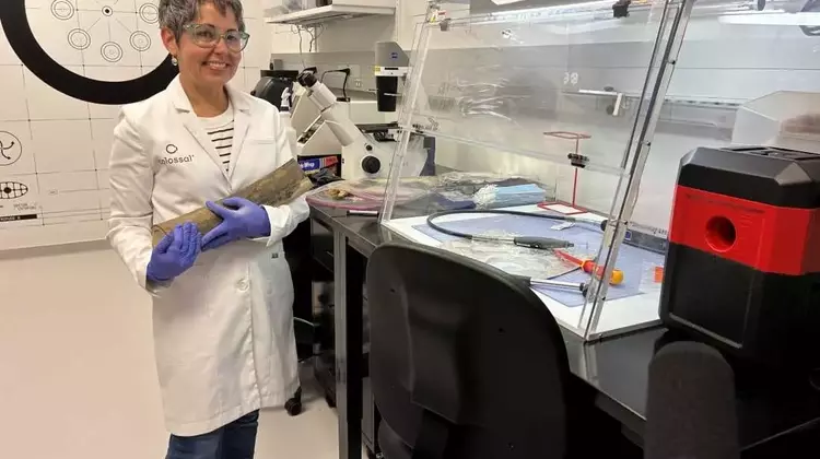 Colossal Biosciences' Controversial Quest to Revive Extinct Species