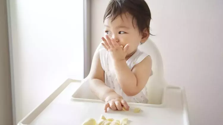 First Solid Foods for Babies Without Teeth