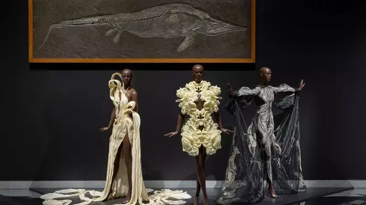 Iris van Herpen's "Sculpting the Senses" Exhibition: A Mid-Career Retrospective at the Brooklyn Museum