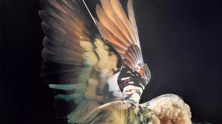 Creator Lab's 10th Season: A Global Showcase of Emerging Photography Talents