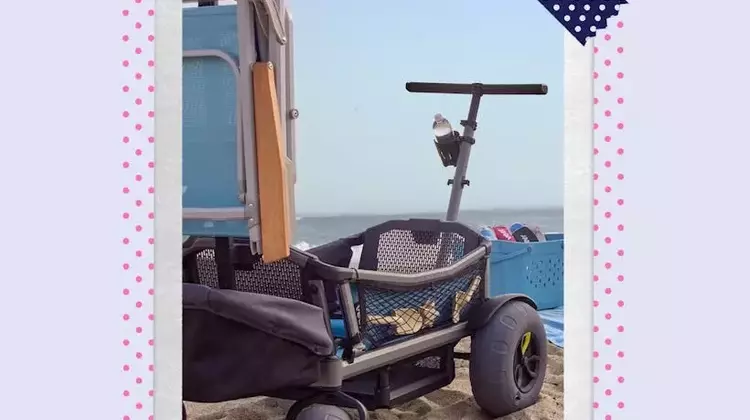 Top All-Terrain Adventure Wagons for Parents in 2026