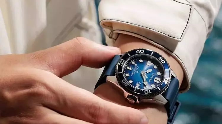 Citizen Promaster Dive: Essential Watches for Summer Adventures