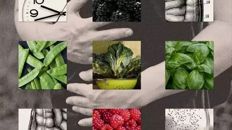 Cyclospora Outbreak: A Growing Public Health Concern