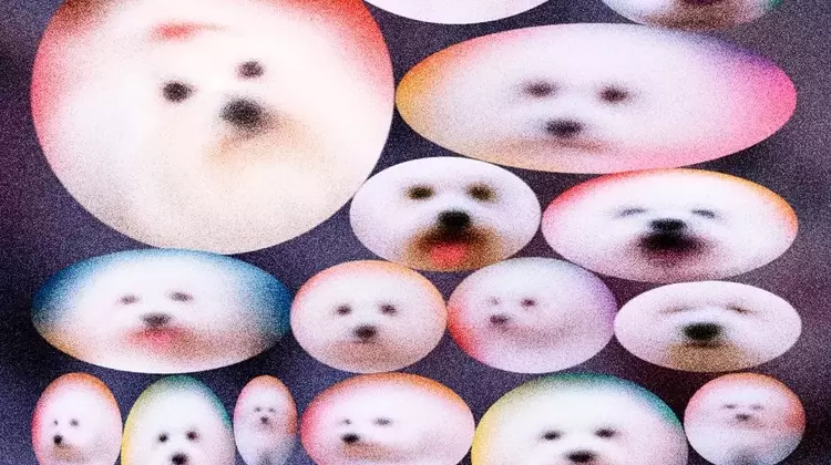 The Ethical Dilemma of Pet Cloning: Replicating Companionship