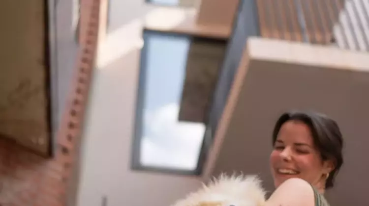 A Touching Farewell: Simon, the Beloved Dog Who Touched Millions, Embarks on a Cosmic Journey
