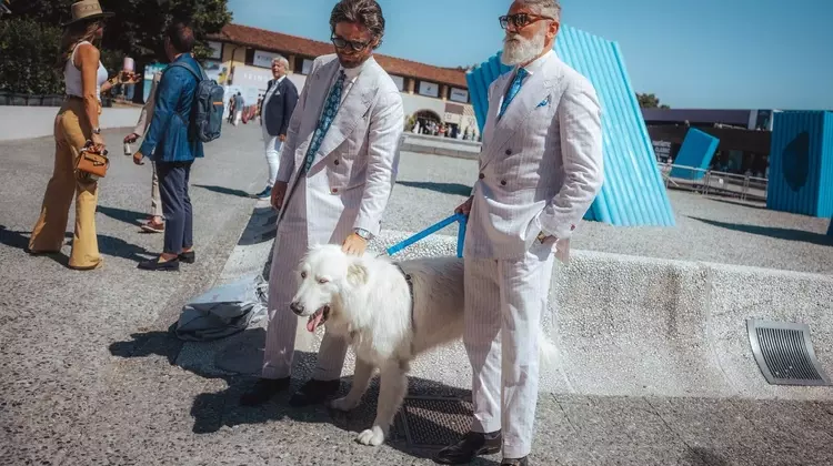 Fashion Week's Most Stylish Canines Steal the Spotlight