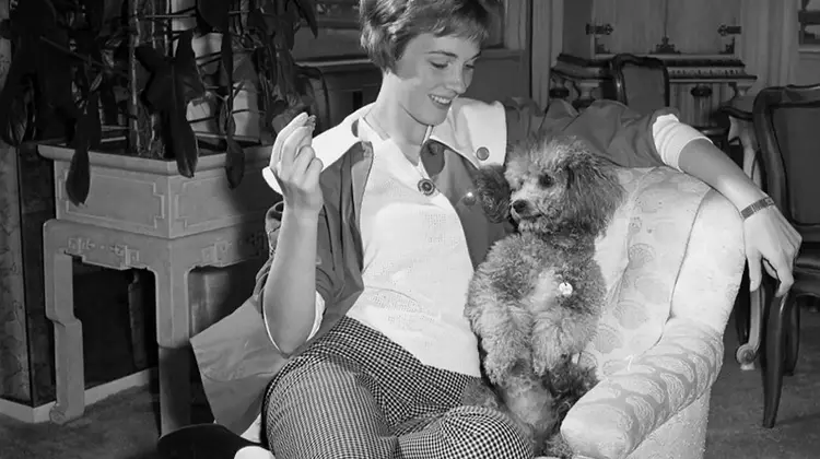 A Lifetime of Canine Companions: Julie Andrews and Emma Walton Hamilton's Enduring Love for Dogs