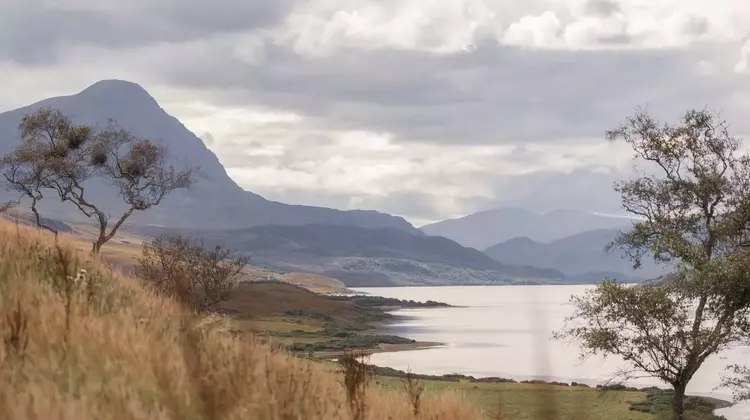 Hope Lodge: A Rewilding Retreat in the Scottish Highlands