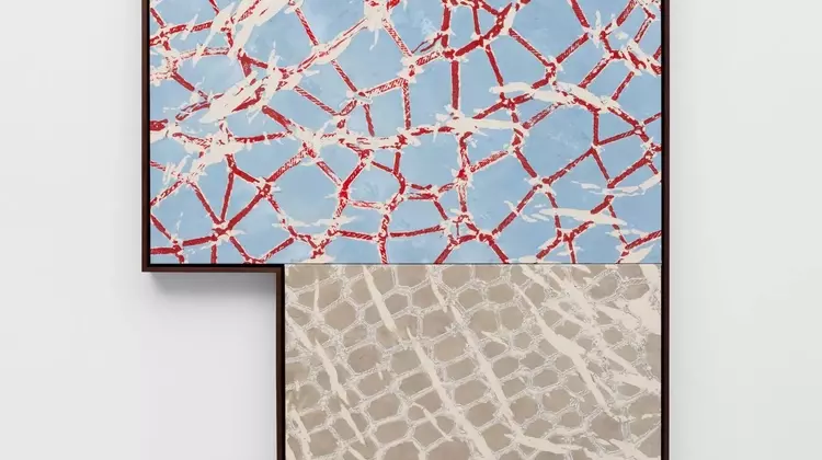 Maia Ruth Lee's 'Double Vision' Explores Migration and Identity Through Art