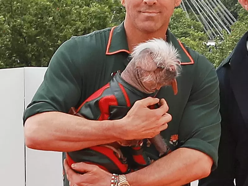Ryan Reynolds's Exquisite Watch Collection
